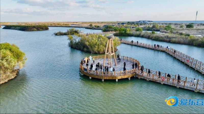 这为他后来 这为他后来