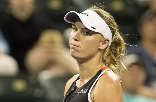 起点很低 起点很低