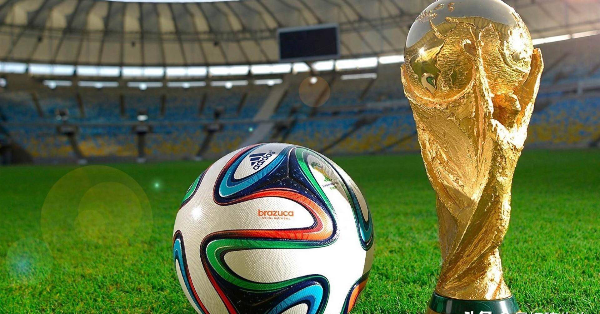 团结协作 团结协作