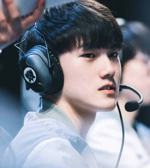 费德勒专机 费德勒专机